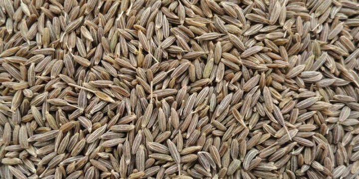 Cumin Seeds