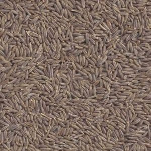 Cumin Seeds